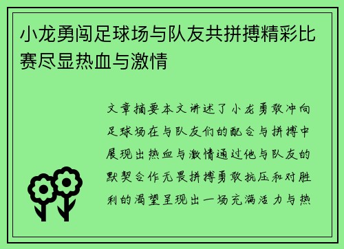 小龙勇闯足球场与队友共拼搏精彩比赛尽显热血与激情
