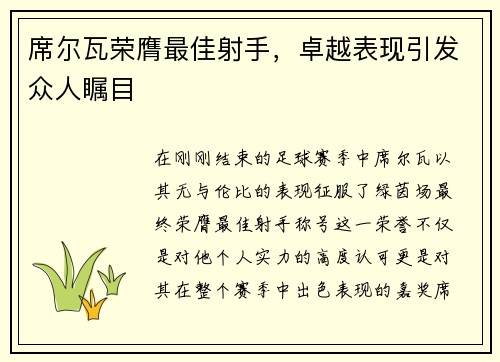 席尔瓦荣膺最佳射手，卓越表现引发众人瞩目