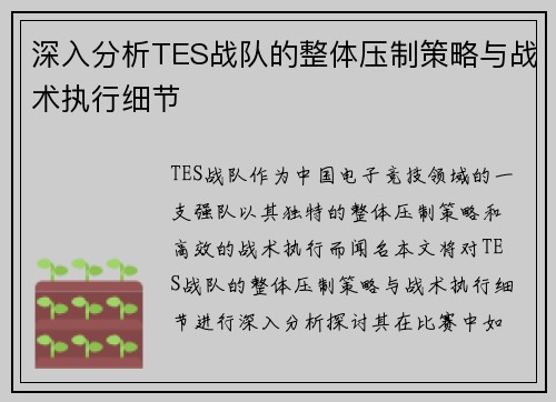 深入分析TES战队的整体压制策略与战术执行细节